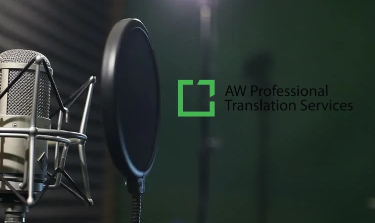 What is Voice-Over Localization?