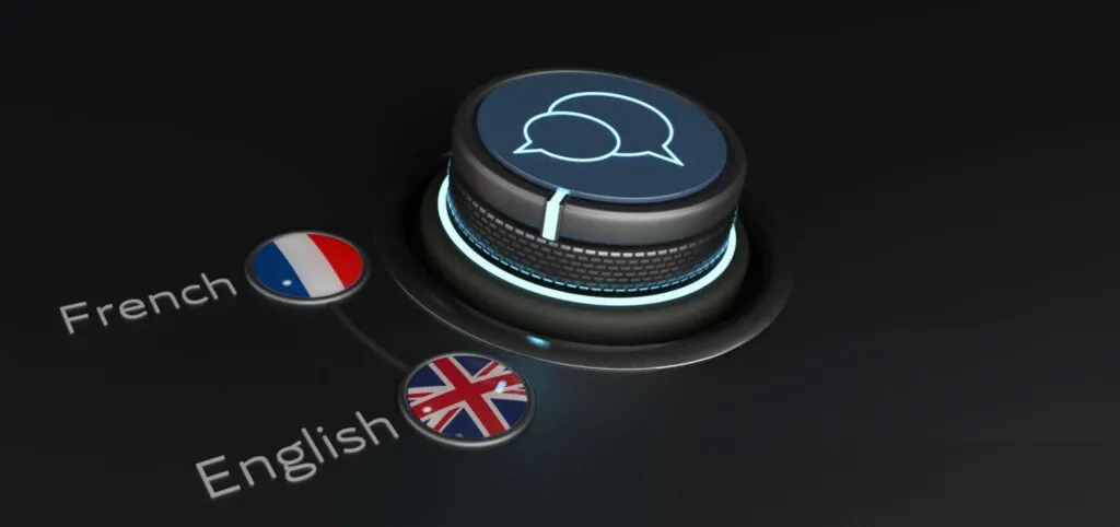 aw pts Machine Translation (MT) services